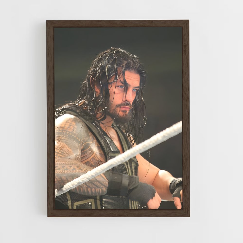 Poster Roman Empire (vue 5)